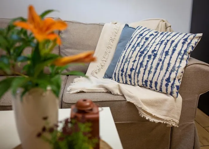 Activfarm Na Kaszubach Dorotka