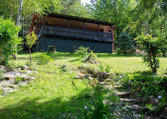 Activfarm Na Kaszubach Dorotka *